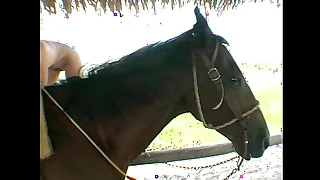 Screwing while railing a horse